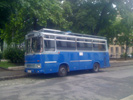 TheBussm.jpg