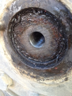 Foto 2 copy.jpg