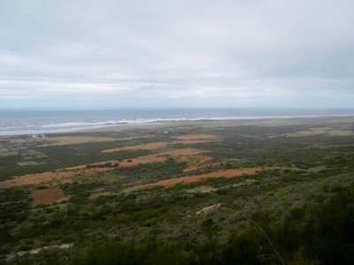 Bestellte Flächen und Gärten bis ans Meer . Keine Möglichkeit hier irgendwo frei am Strand zu stehen .