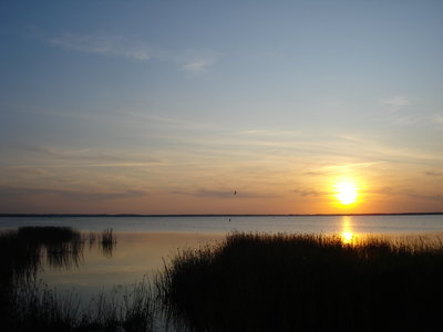 DSC04854.JPG