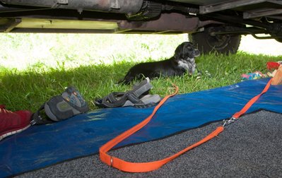Bei der Hitze war unser Hund am Liebsten unter dem 1113
