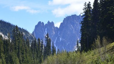 _D710239a.jpg