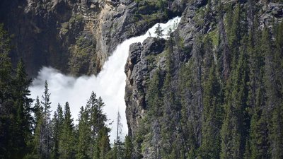 _D711072a.jpg