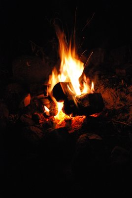 Balt_2ß14 (48).JPG
