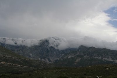 IMG_1402 (Mobile).JPG