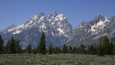 _D710825a.jpg