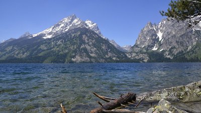 _D710844a.jpg