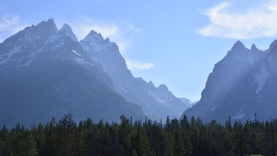 _D710871a.jpg