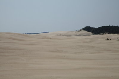 &quot;polnische Sahara&quot;