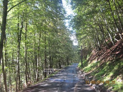 Ab nach Italien. Passstraße