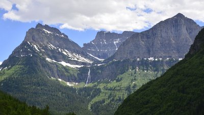 _D711358a.jpg