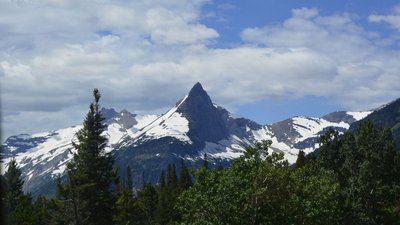 _D711294a.jpg