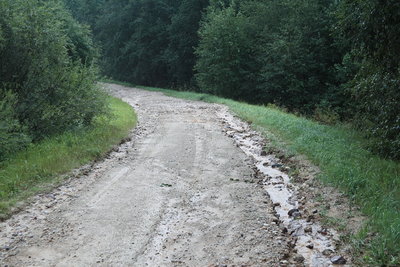 Gauja Nationalpark<br />nach einem heftigen Gewitter (weswegen der Birkenflechter auch keinen Strom hatte)