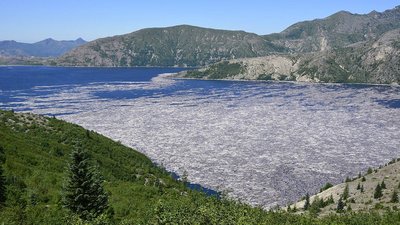 Noch heute im nahegelegenen Spirit Lake schwimmende Baumstämme