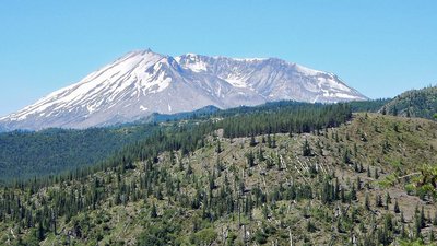 Gipfel des St. Helens. Man kann sich gut die ursprüngliche Höhe vor dem Ausbruch 1980 vorstellen. Im Vordergrund noch heute am Boden herumliegende, damals umgewehte und umgestürzte Bäume