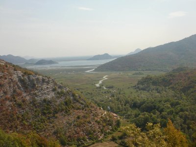 P9190368_kl.jpg