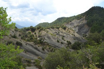 2014-08-06_12-26-49_ok.jpg