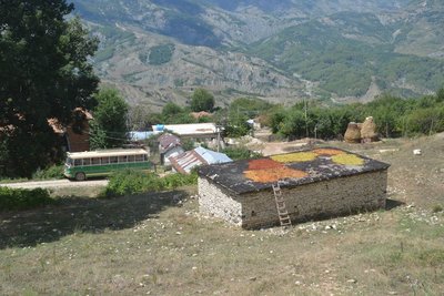 2014-08-12_12-46-24_ok.jpg
