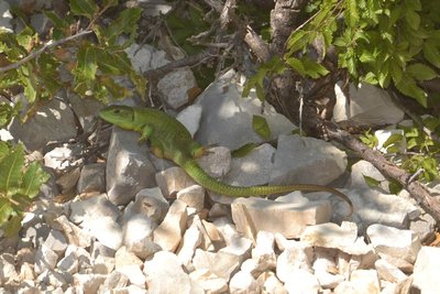 2014-08-12_12-55-14_ok.jpg