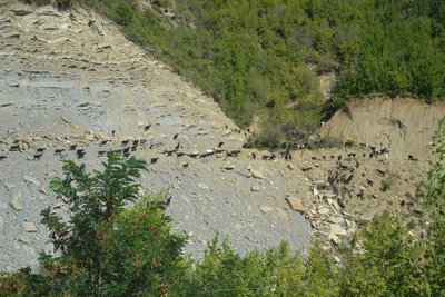 2014-08-12_15-22-47_ok.jpg