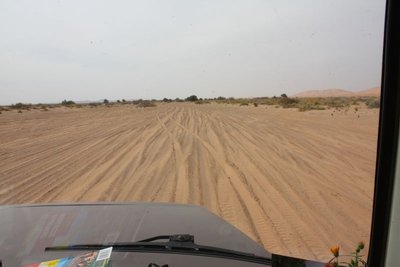 IMG_1505.JPG