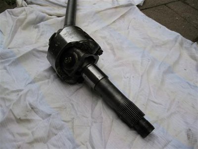 IMG_1337 (Klein).JPG