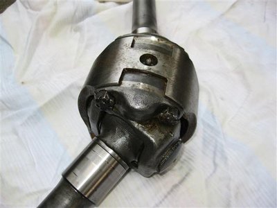 IMG_1338 (Klein).JPG