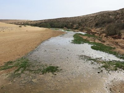 k-IMG_1306.JPG