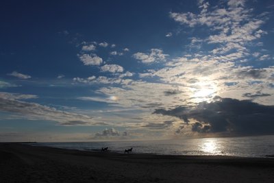 IMG_1954.JPG
