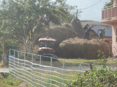 P9240088_kl.jpg
