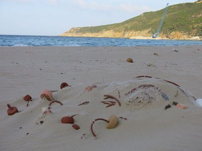 k-IMG_1825.JPG