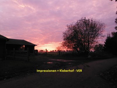 WeldingKleber03.jpg