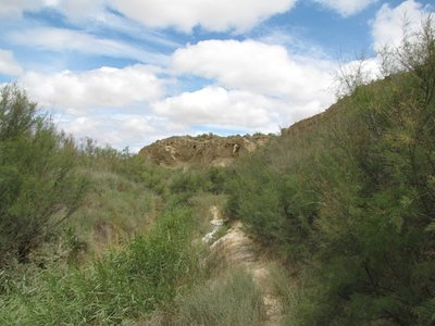 IMG_0584.JPG