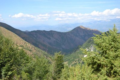 2014-08-25_15-08-18_ok.jpg