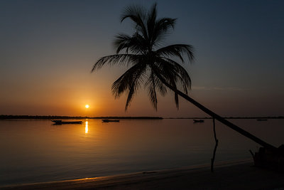 2014 mantoco Weltreise Senegal Casamance Elinkine Sonnenuntergang mit Palme.jpg