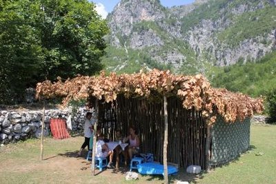 Frühjar 2011 274 a.jpg