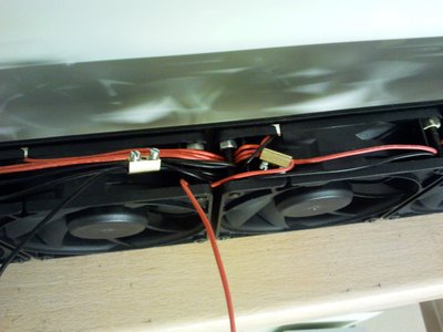 Booster (7) (Large).jpg