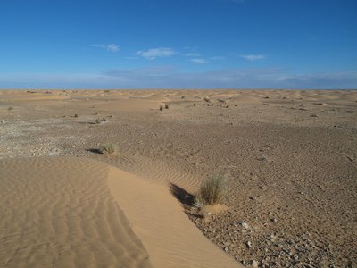 SAM_1176.JPG