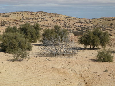 SAM_1090_b.JPG