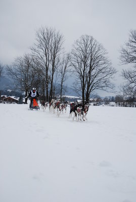 DSC_0424.JPG