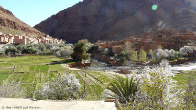 P1160616-1.jpg