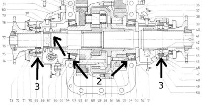 Z65