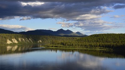 05_D713176a.jpg