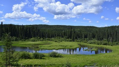 04_D712966a.jpg