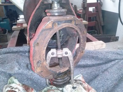 CAM00252.jpg
