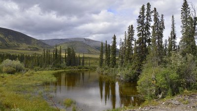 05_D713411.JPG