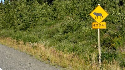 80 km langer (theoretischer) Wildwechsel. Davon war aber leider nicht viel zu sehen (ist bei uns ja eigentlich auch nicht anders)