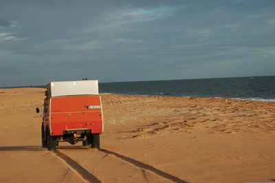 DSC_0324.JPG