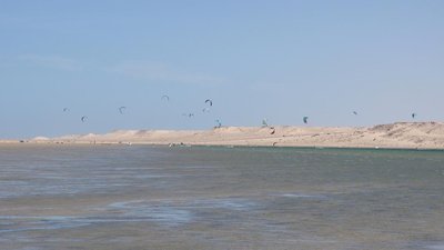 zugvögel in dakhla...