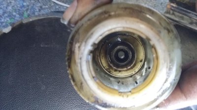 20150601_191225.JPG